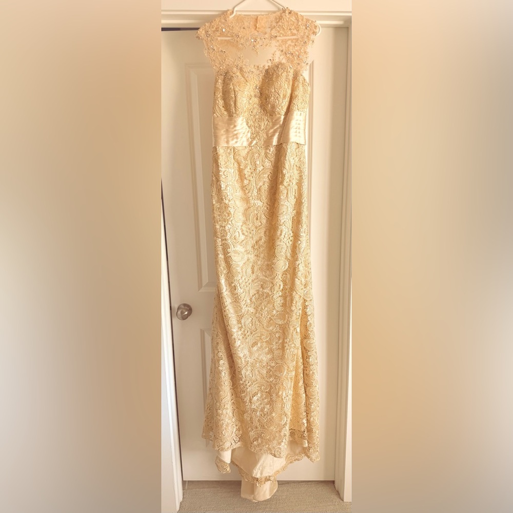 Elegant Mother of the Bride  Champagne Lace Dress - Never Worn